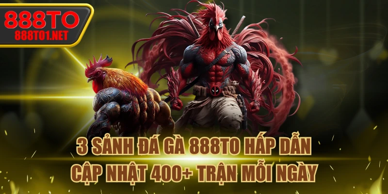 3 Sảnh Đá Gà 888TO Hấp Dẫn, Cập Nhật 400+ Trận Mỗi Ngày