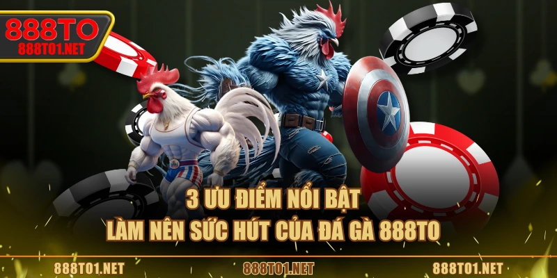 3 ưu điểm nổi bật làm nên sức hút của Đá Gà 888TO