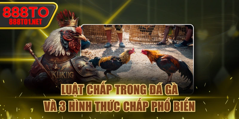 Luật Chấp Trong Đá Gà Và 3 Hình Thức Chấp Phổ Biến