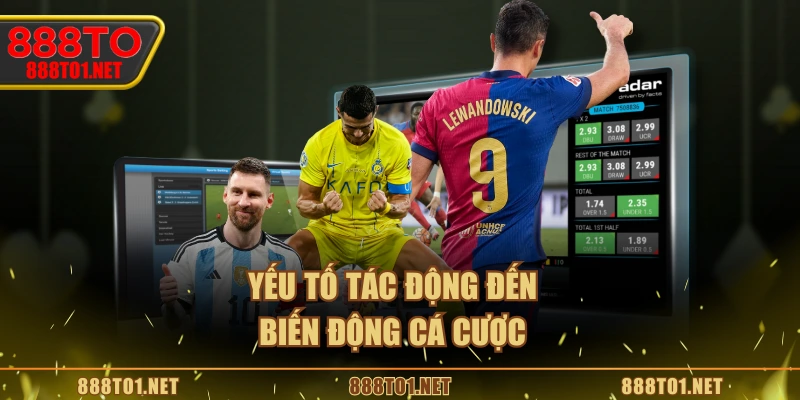 Yếu tố tác động đến biến động cá cược